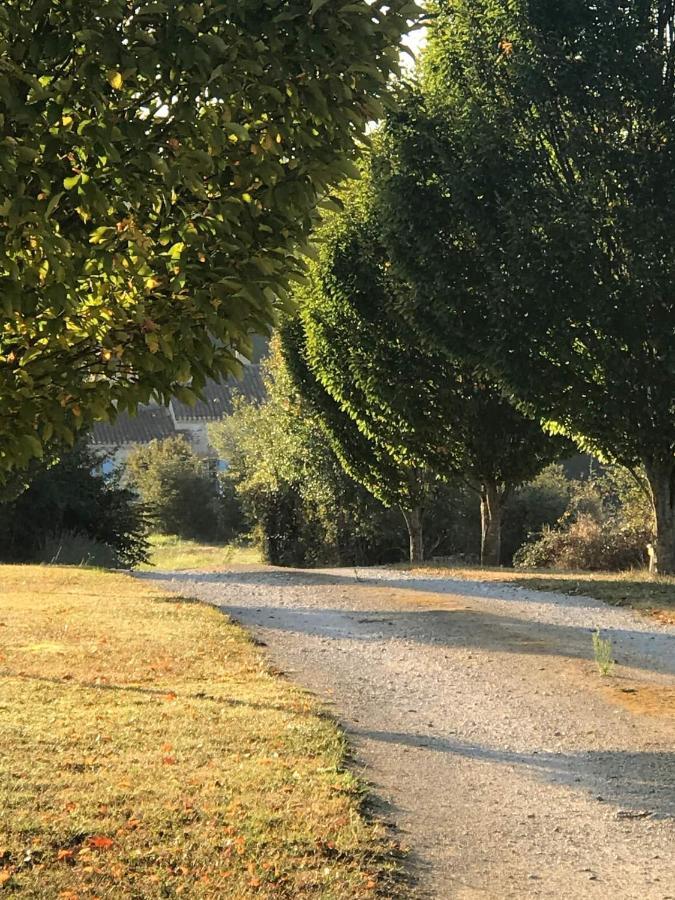 Les Roses Villa Barjou Dış mekan fotoğraf